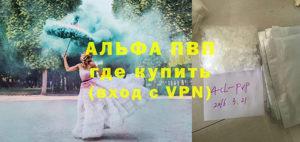 ECSTASY Ладушкин